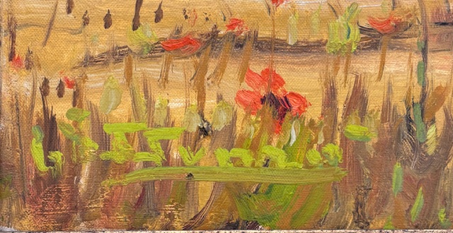 Immagine2