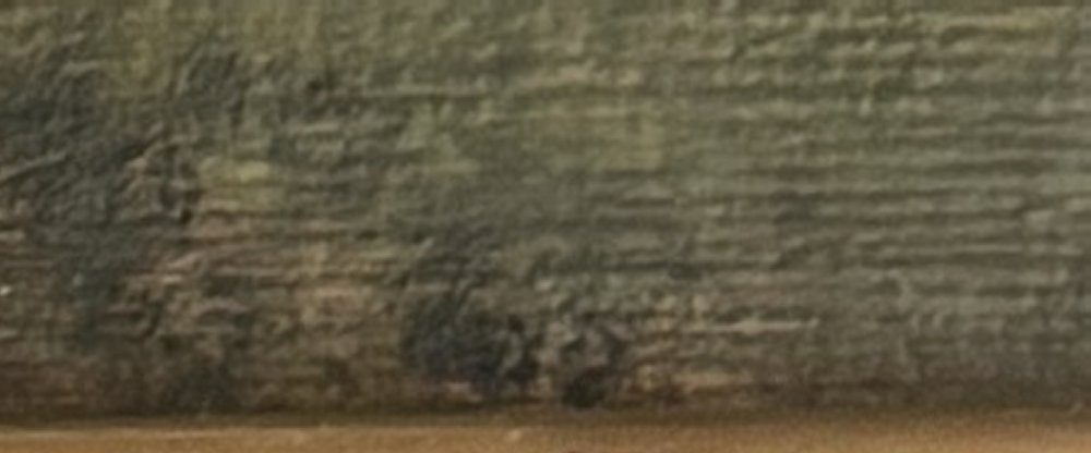 Immagine2