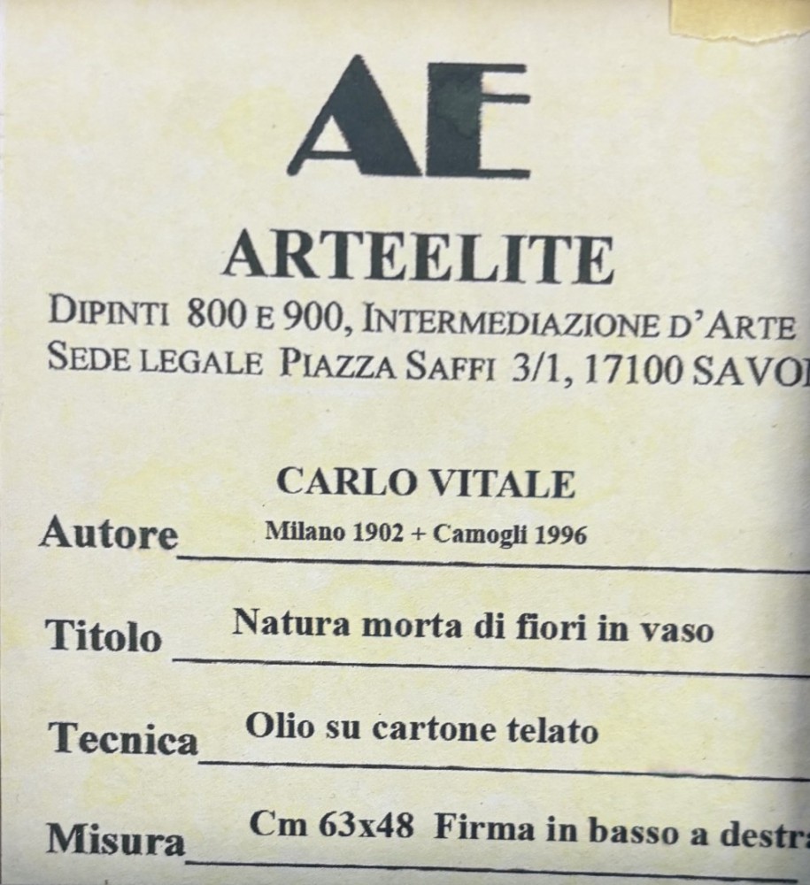 Immagine4