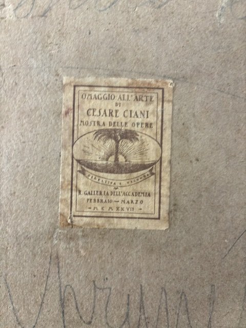 Cesare CianiParticolare 4
