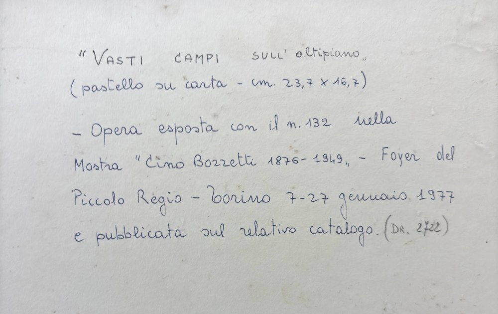 Cino BozzettiParticolare 1